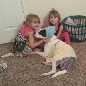 Meet your Posher, Lily